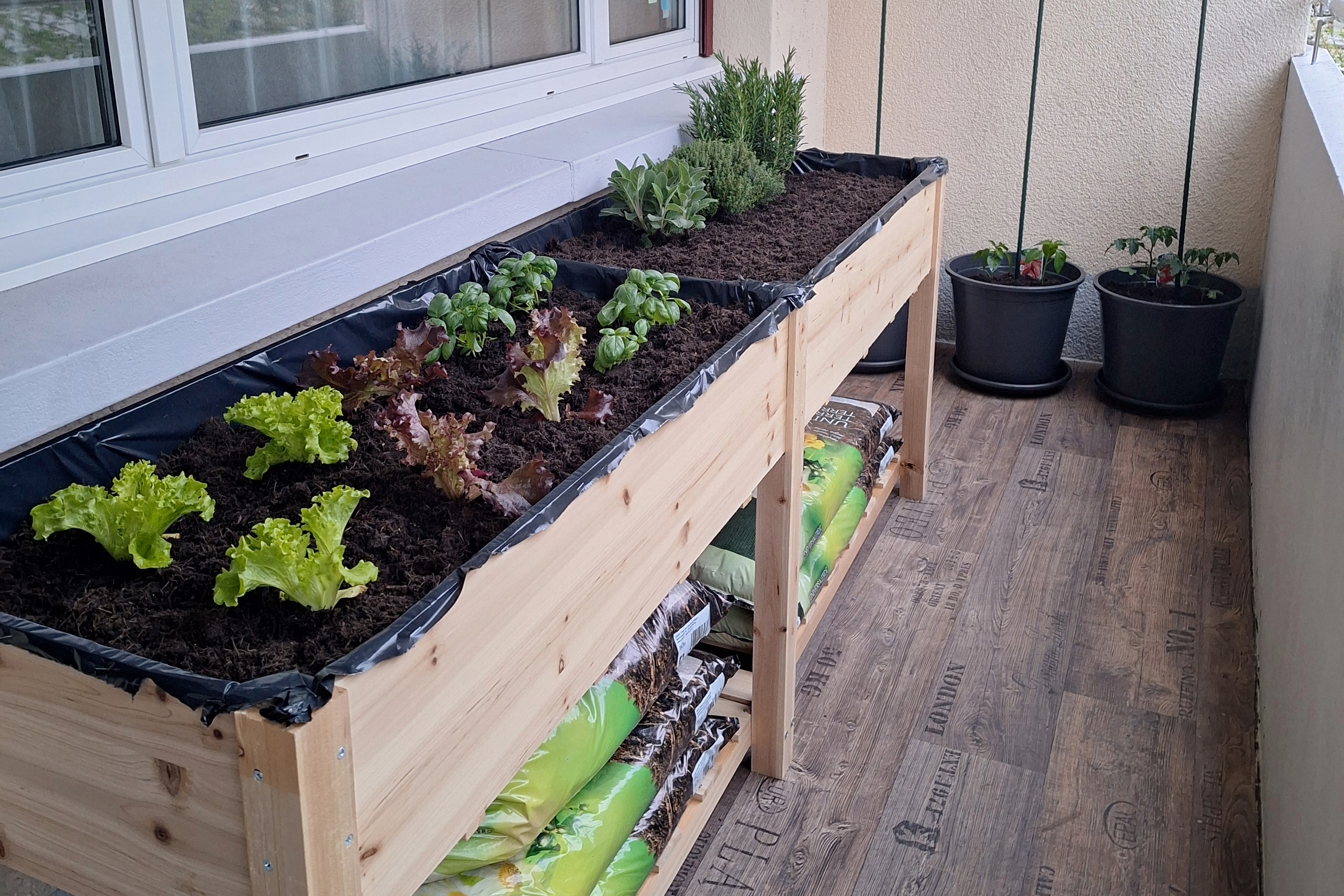 Fresh food at home: my easy raised garden bed project