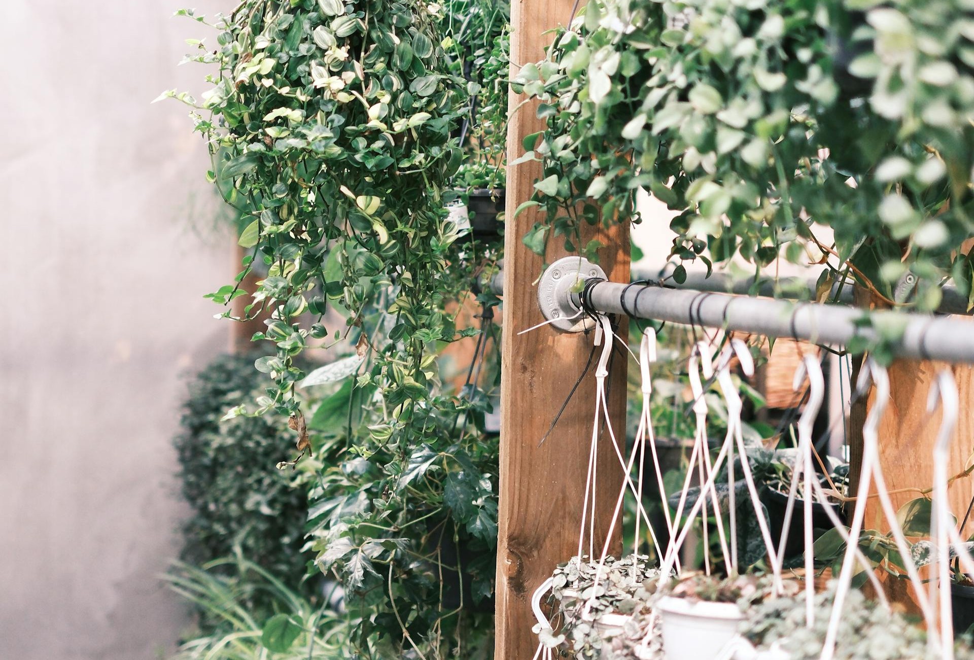Vertical garden: smart, beautiful space-saving